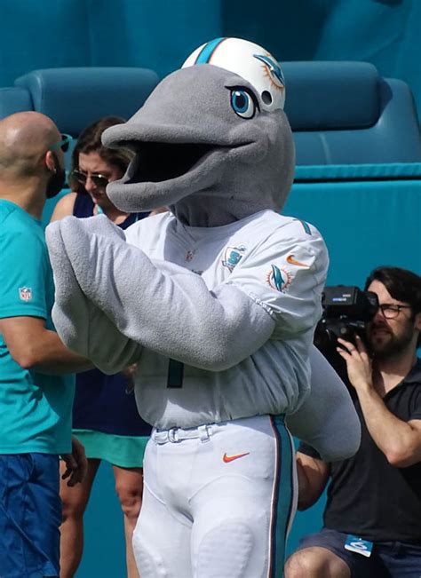 Miami dolphins real dolphin mascot